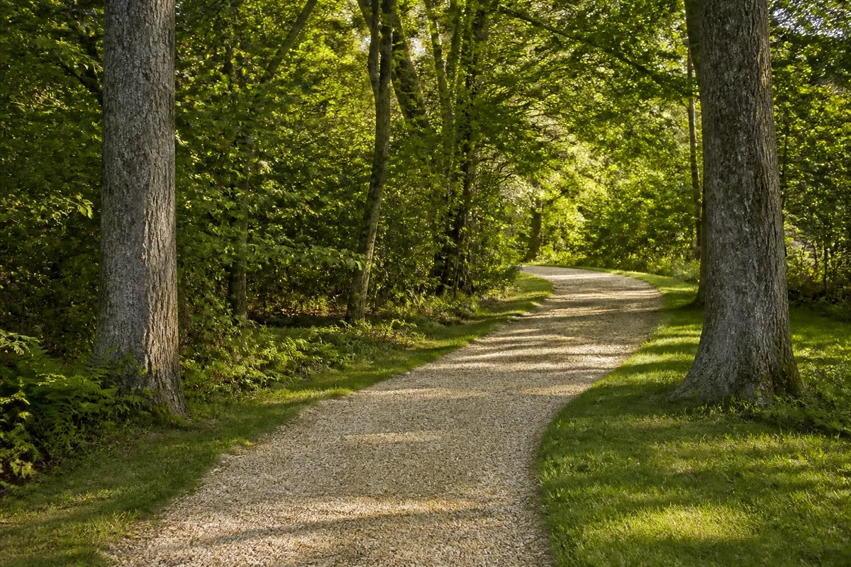 Allée de jardin : quel revêtement sous les arbres